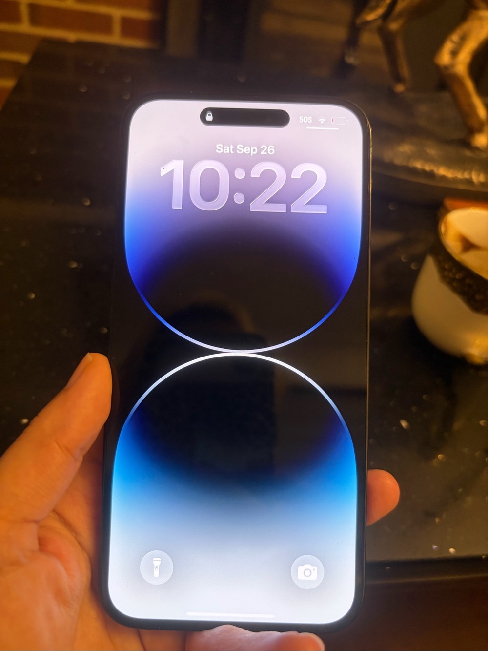 Apple iPhone 14 Pro Max - Black Matte Back